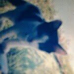 elisaHess - @elisavacaloca12_3 - Instagram