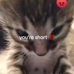 Elisa :(( - @elisa.hicks2020 - Instagram