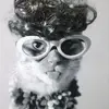 elisahicks29 - @elisahicks29 - TikTok
