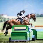 Elise Hicks - @e.hicks.eventing - Instagram