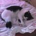 Elisa Holmes - Facebook