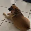 Elisa Ignacio - @elisa.ignacio21 - TikTok