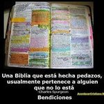 Elisa Islas Sanchez - @islassanchez - Instagram