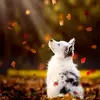 Elisa Jansen - @e.sunny01 - TikTok