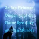 Elisa Keller - @naturganznah - Instagram