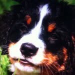 Elisa Keller - @hundi2 - Instagram