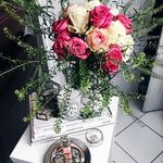 Elisa Larson - @elisalarson451 - Instagram
