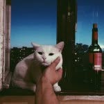 @_elisa_lee - Instagram