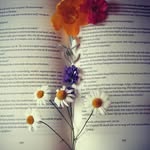 Elisa - @elisaleest - Instagram