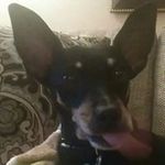 Elisa Maxwell - @elisamaxwell - Instagram