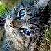 Elisa Maxwell - Facebook