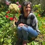 Lisa Hall McCarthy - @lisahallmccarthy - Instagram