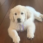Lisa McHugh - @lisamchugh4 - Instagram