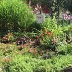 Lisa McHugh Gardens - @lisa_mchugh_gardens - Instagram