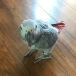Lisa P. McHugh - @lisap.mchugh - Instagram