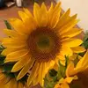 elisameredith - @elisameredith - TikTok