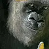 Elisa Miller - @elisa.miller6 - TikTok