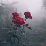 _Elisa.minghetti_ - @_elisa.minghetti_ - Instagram