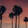 Elisa Moore - @e.moore8 - TikTok