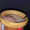 elisa_morgan15 - @elisa_morgan15 - TikTok