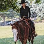 Elisa Morgante|| Equestrian - @elisamorgante_ - Instagram