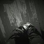 Elisa Nelson - @enelson1232003 - Instagram