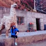 Elisa Nelson - @elisanelson74 - Instagram