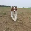 Elisa Probst - @elisa.probst22 - TikTok
