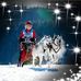 Elisabeth Probst - Facebook