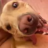 Elisa Raymundo - @elisa.raymundo82 - TikTok