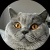 Elisa Streese - @elisa.streese - TikTok