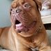 Elisa Reid - Facebook