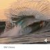 Elisa Reid - Facebook