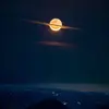 Elisarey - @beliza7618 - TikTok