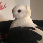 Elisa Reza - Facebook