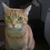 Elisa Rich - @elisa767676 - TikTok