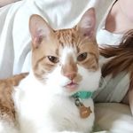 Elise Ritter - @gritty_cat - Instagram