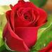 Elisa Rivero - Facebook