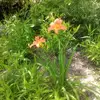 elisarobin861 - @elisarobin861 - TikTok
