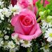 Elisa Rocco - Facebook