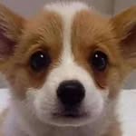 @elis_arock - Instagram