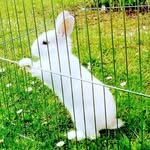 Elisa Rockus - @elisarockus - Instagram