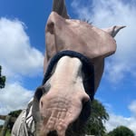 Elisa Rogers - @elisa_mx_2008 - Instagram