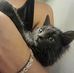 Elisa Rose Rodgers - Facebook