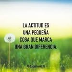 Elisa Rojas - @armenciarojas - Instagram