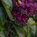 Elisa Roldan - Facebook