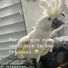 Rosado Elisa - @rosado.elisa - TikTok