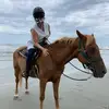 Elisa Ernst Rosenber - @elisaernstrosenberg - TikTok