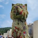 Elisa Ruano - @terra_apah - Instagram