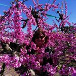 Elisa Sabater Roca - @elisa07sr - Instagram